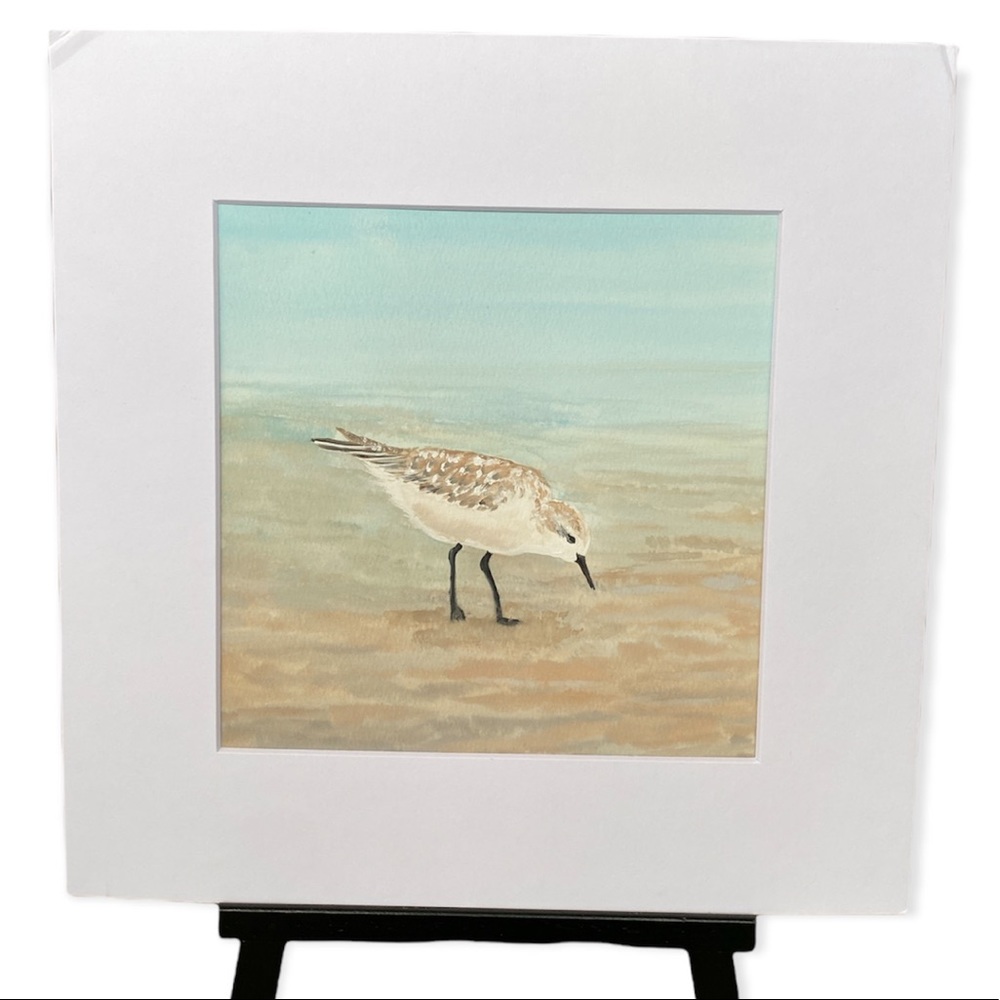 New Bird Watercolor Painting